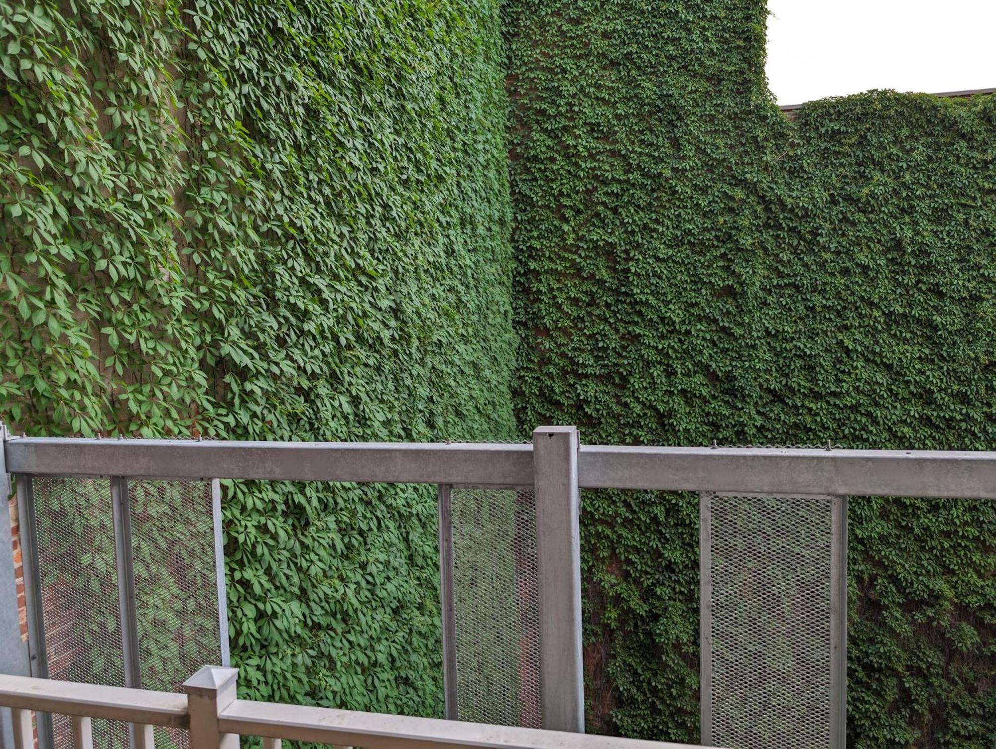 Cozy Studio In Montreal'S Quartier Des Spectacles Exterior foto